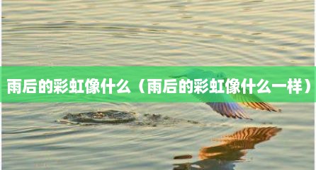 雨后的彩虹像什么（雨后的彩虹像什么一样）