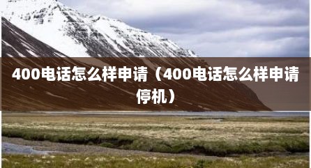 400电话怎么样申青（400电话怎么样申青停机）