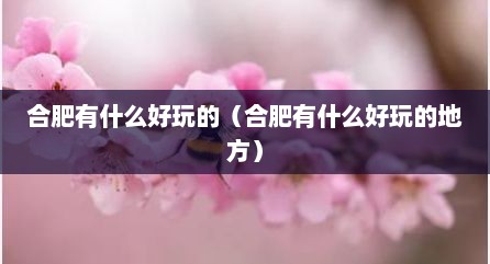 合肥有什么好玩的（合肥有什么好玩的地方）