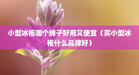 小型冰柜哪个牌子好用又便宜（买小型冰柜什么品牌好）