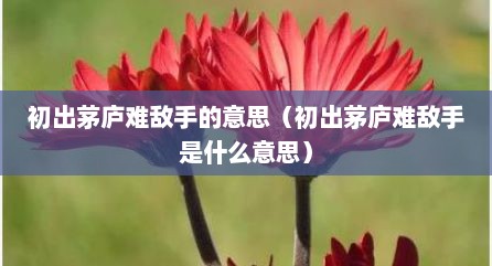 初出茅庐难敌手的意思（初出茅庐难敌手是什么意思）