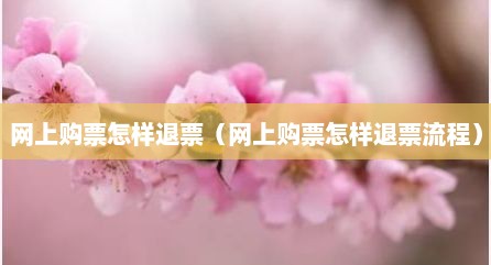 网上购票怎样退票（网上购票怎样退票流程）