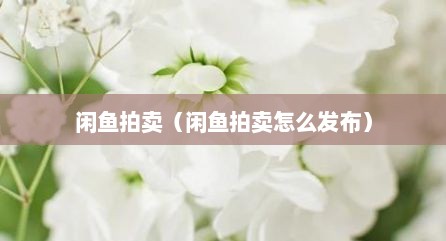 闲鱼拍卖（闲鱼拍卖怎么发布）