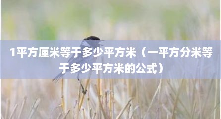 1平方厘米等于多少平方米（一平方分米等于多少平方米的公式）