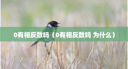 0有相反数吗（0有相反数吗 为什么）