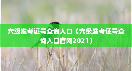 六级准考证号查询入口（六级准考证号查询入口官网2021）