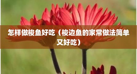 怎样做梭鱼好吃（梭边鱼的家常做法简单又好吃）