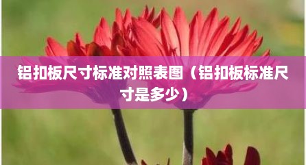 铝扣板尺寸标准对照表图（铝扣板标准尺寸是多少）