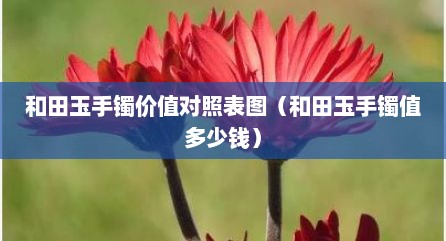 和田玉手镯价值对照表图（和田玉手镯值多少钱）