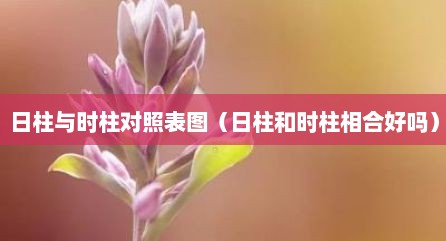 日柱与时柱对照表图（日柱和时柱相合好吗）