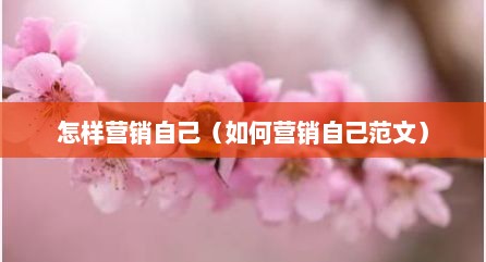 怎样营销自己（如何营销自己范文）