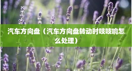 汽车方向盘（汽车方向盘转动时吱吱响怎么处理）
