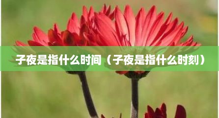 子夜是指什么时间（子夜是指什么时刻）