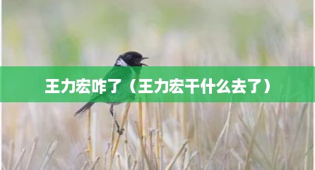 王力宏咋了（王力宏干什么去了）