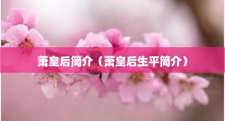 萧皇后简介（萧皇后生平简介）