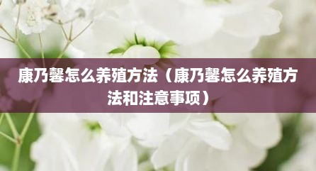 康乃馨怎么养殖方法（康乃馨怎么养殖方法和注意事项）