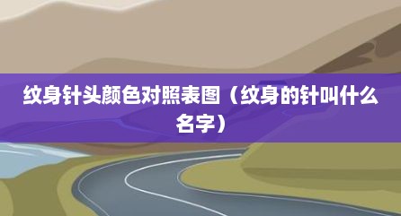 纹身针头颜色对照表图（纹身的针叫什么名字）
