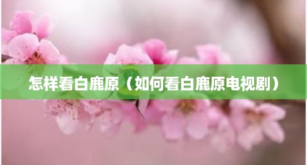 怎样看白鹿原（如何看白鹿原电视剧）