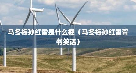 马冬梅孙红雷是什么梗（马冬梅孙红雷背书笑话）