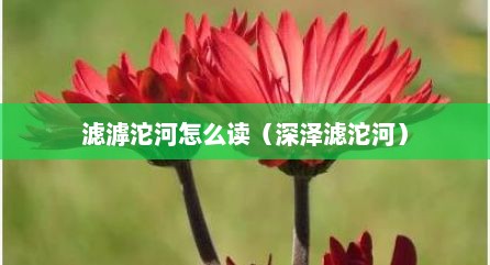 滤滹沱河怎么读（深泽滤沱河）