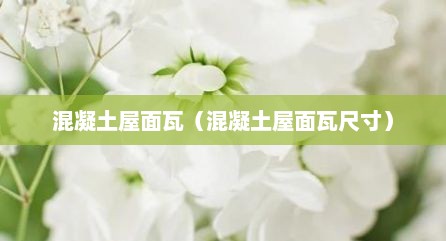 混凝土屋面瓦（混凝土屋面瓦尺寸）