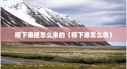 柳下惠梗怎么来的（柳下惠怎么念）