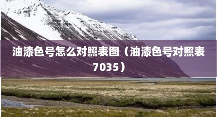 油漆色号怎么对照表图（油漆色号对照表7035）