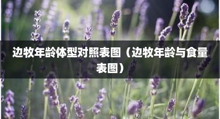 边牧年龄体型对照表图（边牧年龄与食量表图）