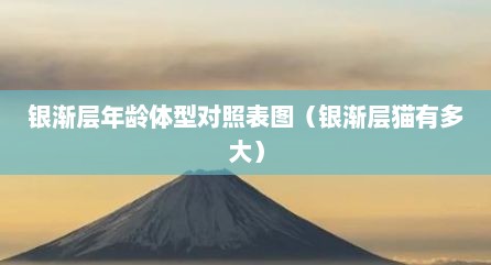 银渐层年龄体型对照表图（银渐层猫有多大）