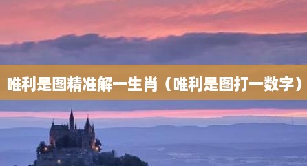 唯利是图精准解一生肖（唯利是图打一数字）