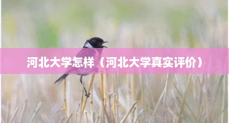 河北大学怎样（河北大学真实评价）