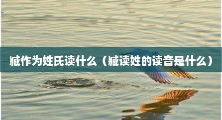 臧作为姓氏读什么（臧读姓的读音是什么）