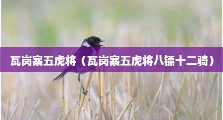 瓦岗寨五虎蒋（瓦岗寨五虎蒋八镖十二骑）