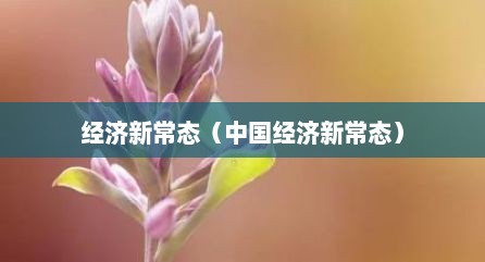 经济新常态（中国经济新常态）