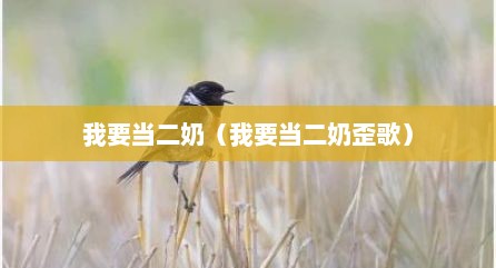 我要当二奶（我要当二奶歪歌）