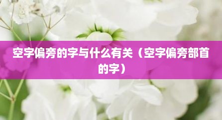 空字偏旁的字与什么有关（空字偏旁部首的字）
