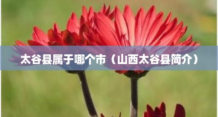 太谷县属于哪个市（山西太谷县简介）