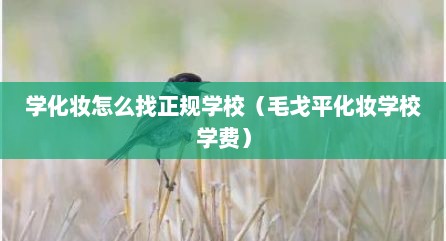 学化妆怎么找正规学校（毛戈平化妆学校学费）