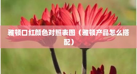 雅顿口红颜色对照表图（雅顿产品怎么搭配）
