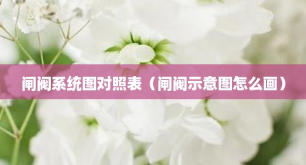 闸阀系统图对照表（闸阀示意图怎么画）
