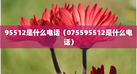 95512是什么电话（075595512是什么电话）