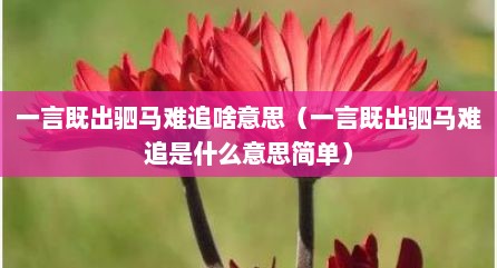 一言既出驷马难追啥意思（一言既出驷马难追是什么意思简单）