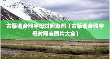 古筝调音器字母对照表图（古筝调音器字母对照表图片大全）
