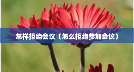 怎样拒绝会议（怎么拒绝参加会议）