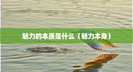 魅力的本质是什么（魅力本身）
