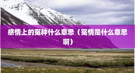 感情上的冤种什么意思（冤情是什么意思啊）