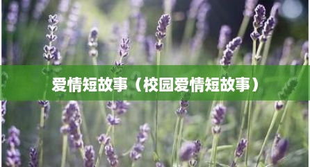 爱情短故事（校园爱情短故事）