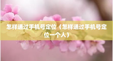 怎样通过手机号定位（怎样通过手机号定位一个人）