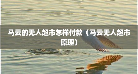 马云的无人超市怎样付款（马云无人超市原理）