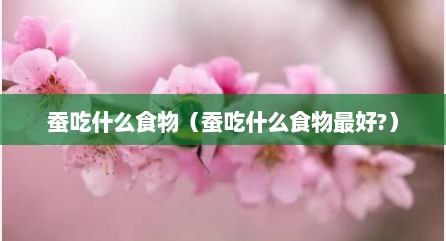 蚕吃什么食物（蚕吃什么食物最好?）